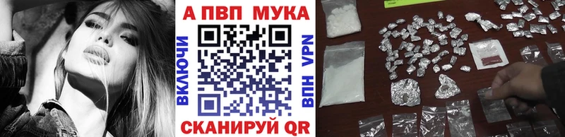 A PVP СК  Шарья 