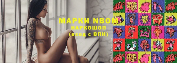 шишки Бабаево