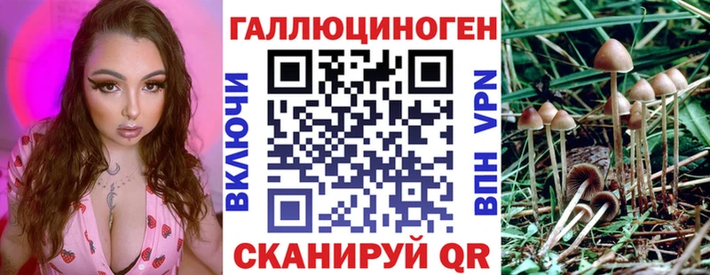 Галлюциногенные грибы Psilocybine cubensis  Шарья 
