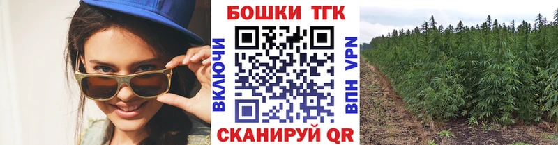 Конопля THC 21%  продажа наркотиков  mega ссылки  Шарья 